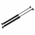 Gas Struts Product Photo